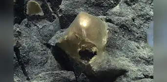 Una misteriosa esfera dorada fue encontrada en el océano: después de dos años, los científicos descubrieron qué era