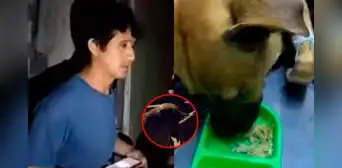 Sujeto es acusado de grave maltrato contra su perrito y vecinos piden rescate urgente en Independencia: "No quieren entregarlo" Sujeto es acusado de grave maltrato contra su perrito y vecinos piden rescate urgente en Independencia: "No quieren entregarlo"