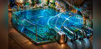 El colosal acuario de China que puedes explorar al sumergirte en el océano con su túnel de 155 metros: tiene una zona inspirada en Sudamérica El colosal acuario de China que puedes explorar al sumergirte en el océano con su túnel de 155 metros: tiene una zona inspirada en Sudamérica