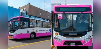 Nueva flota del Corredor Rosado entra en funcionamiento con buses a GNV: conoce la ruta que conecta Lima y Callao