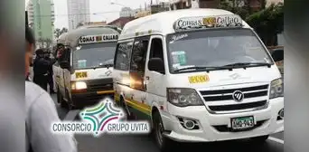 Empresa de transportes Uvita anunció el cese definitivo de sus operaciones debido al incremento de las extorsiones: dueños salieron del país Empresa de transportes Uvita anunció el cese definitivo de sus operaciones debido al incremento de las extorsiones: dueños salieron del país