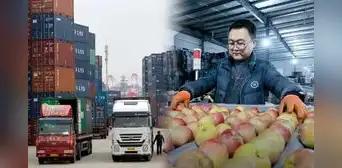 Un país africano desafía las barreras comerciales y envía 24 toneladas de manzanas a China con arancel cero Un país africano desafía las barreras comerciales y envía 24 toneladas de manzanas a China con arancel cero