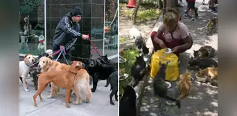 En esta ciudad del Perú sancionarán con multas de hasta S/1.100 a dueños que tengan más de dos mascotas En esta ciudad del Perú sancionarán con multas de hasta S/1.100 a dueños que tengan más de dos mascotas