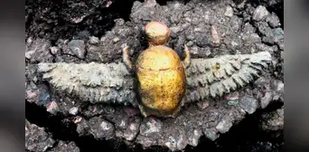 Arqueólogos descubren un escarabajo sagrado egipcio, pero enterrado a miles de kilómetros en España dentro de una tumba prerromana