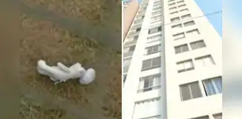 Bebé de un año cayó desde un octavo piso tras intentar alcanzar su peluche en un condominio de Comas Bebé de un año cayó desde un octavo piso tras intentar alcanzar su peluche en un condominio de Comas