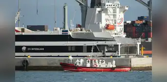 Hantavirus: OMS alerta posible transmisión entre humanos tras brote en crucero que dejó tres muertos Hantavirus: OMS alerta posible transmisión entre humanos tras brote en crucero que dejó tres muertos