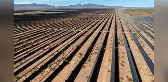 La planta de energía solar más grande de EE. UU. cierra tras causar la muerte de aves: costó más de US$1000 millones La planta de energía solar más grande de EE. UU. cierra tras causar la muerte de aves: costó más de US$1000 millones