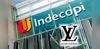 ¿Louis Vuitton o imitación? Indecopi resuelve el polémico caso de las 262 carteras retenidas a empresa peruana