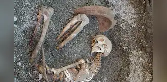 Lo encontraron 2.000 años después con un tazón para protegerse la cabeza y una lámpara para iluminar su camino: un hombre huyó de Pompeya cuando estalló el Vesubio