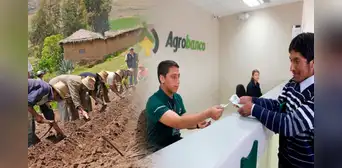 Midagri: Fondo Agroperú destina más de S/226 millones en créditos agropecuarios beneficiando a 14.059 pequeños productores del país Midagri: Fondo Agroperú destina más de S/226 millones en créditos agropecuarios beneficiando a 14.059 pequeños productores del país