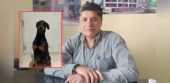 JNE vaca a alcalde de Arequipa por disponer que personal municipal cuide a su mascota "Flechita"