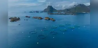 Las joyas naturales de Noruega al borde de la desaparición tras ser afectadas por industria clave: no es el petróleo ni el gas natural