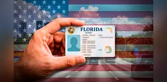 Ley HB 991 en Florida exigirá que las licencias de conducir incluyan un nuevo dato migratorio a partir del 1 de enero de 2027