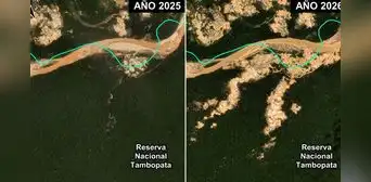 Minería ilegal avanza en área protegida Tambopata: monitoreo satelital revela más de 500 hectáreas deforestadas