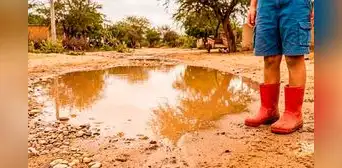Leptospirosis avanza en Lambayeque: reportan 26 contagios y movilizan vigilancia sanitaria