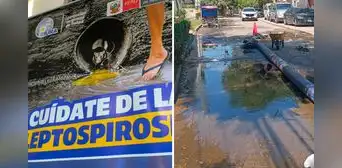 Piden emergencia sanitaria por leptospirosis y dengue tras brote de variante más agresiva en Piura