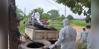 Brote de dengue en San Martín: reportan más de 600 casos y la muerte de un niño de 9 años
