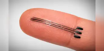 Científicos desarrollan un innovador implante 3D que reduce la presión arterial mediante estimulación eléctrica suave