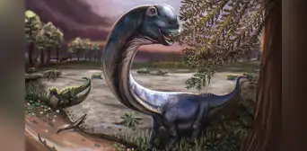 Tan largo como una ballena azul: Tailandia descubre uno de los dinosaurios más grandes encontrados en Asia Tan largo como una ballena azul: Tailandia descubre uno de los dinosaurios más grandes encontrados en Asia