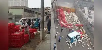 Comerciantes usan avenida Nicolás Ayllón como “corral” de pollos en San Luis: “Esos animales parecen enfermos” Comerciantes usan avenida Nicolás Ayllón como “corral” de pollos en San Luis: “Esos animales parecen enfermos”