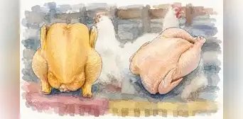 ¿Viste pollo amarillo y blanco en el mercado?, ¿cuál es el más saludable? Esta es la principal diferencia