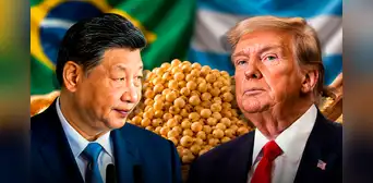 En la mira de China y EE.UU.: un país de Sudamérica podría producir 186 millones de toneladas de soja y liderar exportaciones mundiales