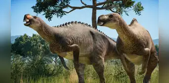 Un fósil intacto revela que los dinosaurios no rugían como en las películas: cantaban como las aves