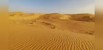 El proyecto ecológico más ambicioso del mundo: 11 países de África luchan juntos para detener el avance del desierto del Sáhara El proyecto ecológico más ambicioso del mundo: 11 países de África luchan juntos para detener el avance del desierto del Sáhara