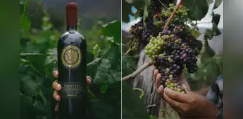 Wayocari, el vino peruano producido a 2.900 m.s.n.m. que conquistó el paladar de famoso crítico británico y lo colocó entre los mejores del mundo Wayocari, el vino peruano producido a 2.900 m.s.n.m. que conquistó el paladar de famoso crítico británico y lo colocó entre los mejores del mundo