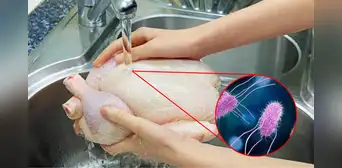 ¿Lavas el pollo antes de guardarlo o cocinarlo? Este hábito podría enfermar a tu familia sin que lo notes
