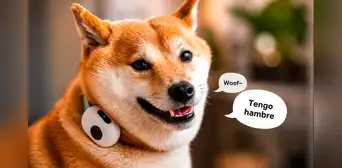 China lanza un collar con IA para perros y gatos que traduciría sus sonidos y movimientos con 95% de efectividad