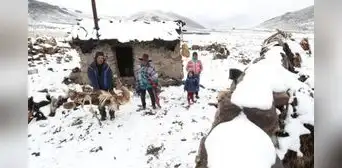 Hasta 5 centímetros de nieve: bajas temperatura dejan muertos, bloquean vías y afectan ganado en estas regiones Hasta 5 centímetros de nieve: bajas temperatura dejan muertos, bloquean vías y afectan ganado en estas regiones