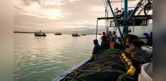 Produce paraliza pesca de anchoveta por El Niño Costero hasta el 10 de junio: ¿riesgo para el sector? Esto advierte Imarpe tras ampliación Produce paraliza pesca de anchoveta por El Niño Costero hasta el 10 de junio: ¿riesgo para el sector? Esto advierte Imarpe tras ampliación