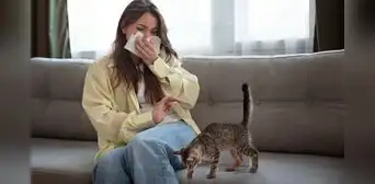 La verdadera causa de la alergia a los gatos: por qué el pelo no es el problema, según la ciencia La verdadera causa de la alergia a los gatos: por qué el pelo no es el problema, según la ciencia