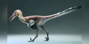 Paleontólogos argentinos descubren una nueva especie de dinosaurio pescador y emparentado con el velociraptor