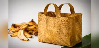 Científicas logran convertir cáscaras de plátano en bolsas biodegradables que podrían reemplazar el plástico para las compras Científicas logran convertir cáscaras de plátano en bolsas biodegradables que podrían reemplazar el plástico para las compras