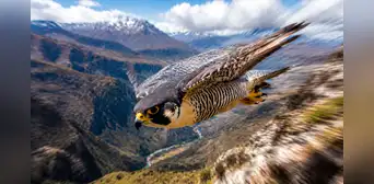 El animal más rápido del mundo caza a más de 386 km/h, maniobra sin perder estabilidad ni sufrir daños y suele migrar a Perú El animal más rápido del mundo caza a más de 386 km/h, maniobra sin perder estabilidad ni sufrir daños y suele migrar a Perú