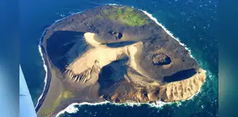 Apareció de la nada en 1963 y quedó aislada de los humanos: una isla funciona como laboratorio natural para observar cómo inicia la vida desde cero Apareció de la nada en 1963 y quedó aislada de los humanos: una isla funciona como laboratorio natural para observar cómo inicia la vida desde cero