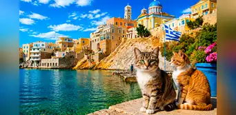 Grecia busca voluntarios para cuidar gatos en una isla paradisíaca por un mes: alojamiento, desayuno y gastos incluidos