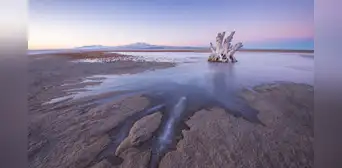 No existe en ningún otro lugar de la Tierra: científicos descubren una criatura misteriosa bajo un lago ultrasalado No existe en ningún otro lugar de la Tierra: científicos descubren una criatura misteriosa bajo un lago ultrasalado