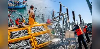 INEI: mientras pesca creció 1.68% y electricidad 4.59%, esta actividad registró una fuerte caída ¿de cuál se trata? INEI: mientras pesca creció 1.68% y electricidad 4.59%, esta actividad registró una fuerte caída ¿de cuál se trata?