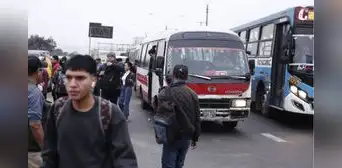 Es oficial | Transportistas recibirán subsidio temporal de hasta S/0,50 por kilómetro recorrido tras suspensión del paro