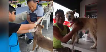 Este distrito de Lima Metropolitana realizará una campaña veterinaria GRATIS el viernes 5 de junio: conoce el horario y lugar de atención
