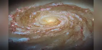 El telescopio Hubble captura una galaxia siendo despojada lentamente de su futuro por poderosas fuerzas cósmicas El telescopio Hubble captura una galaxia siendo despojada lentamente de su futuro por poderosas fuerzas cósmicas