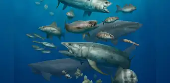 Cerca de 500 peces fosilizados en Egipto: científicos descubren un 'acuario petrificado' de 62 millones de años de antigüedad Cerca de 500 peces fosilizados en Egipto: científicos descubren un 'acuario petrificado' de 62 millones de años de antigüedad