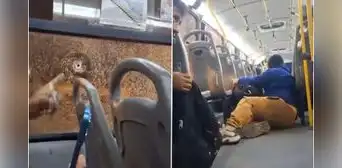 Pasajera graba los tensos momentos tras ataque a bus de Nueva América en San Juan de Miraflores