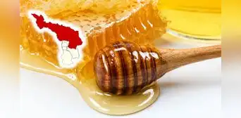 La provincia peruana que decidió proteger a las abejas por una razón que afecta directamente a tu comida La provincia peruana que decidió proteger a las abejas por una razón que afecta directamente a tu comida