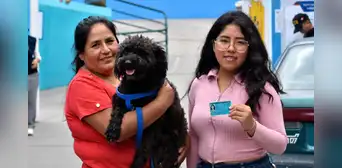 ¡Una compañía especial! Ciudadanos acudieron a votar junto a sus perritos en la segunda vuelta electoral 2026 ¡Una compañía especial! Ciudadanos acudieron a votar junto a sus perritos en la segunda vuelta electoral 2026