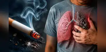 Científicos revelan cómo el humo del cigarrillo puede causar daño pulmonar y vascular tras identificar una pieza clave