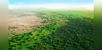 Once países construyen un ‘muro’ de árboles de 8.000 km para frenar el avance del Sáhara y transformar la vida de las personas Once países construyen un ‘muro’ de árboles de 8.000 km para frenar el avance del Sáhara y transformar la vida de las personas